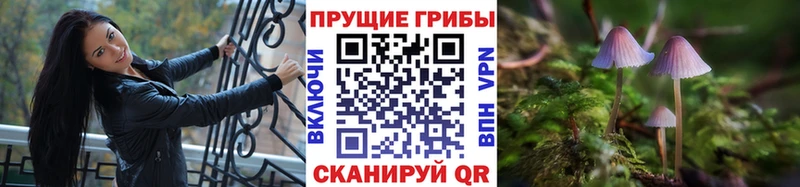 Псилоцибиновые грибы мухоморы  Дрезна 